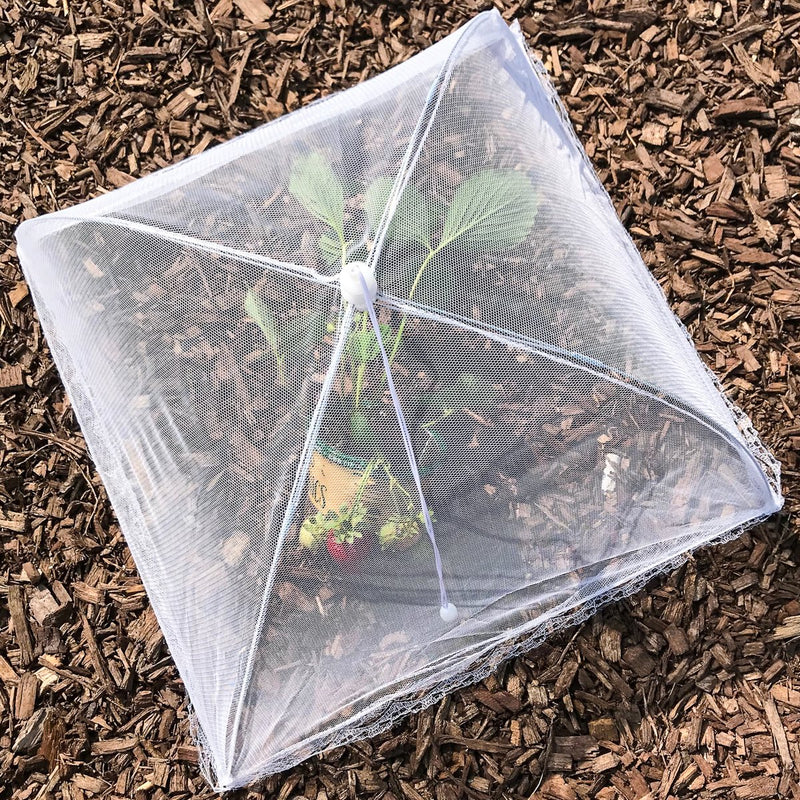 [Australia - AusPower] - Simply Genius (6 pack) Large and Tall 17x17 Pop-Up Mesh Food Covers Tent Umbrella for Outdoors, Screen Tents, Parties Picnics, BBQs, Reusable and Collapsible Food Tents 6 