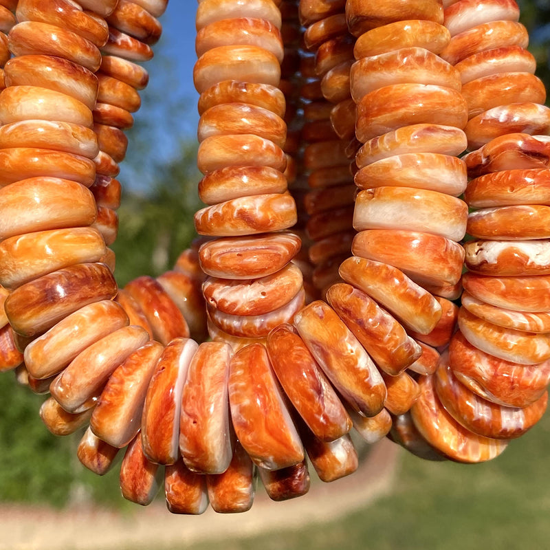 [Australia - AusPower] - [ABCgems] Gigantic Caribbean-Sea Orange Spiny Oyster Shell Beads - Natural & Organic Seashell for DIY Jewelry Making - Ideal for Necklaces, Bracelets - Irregular Rondelle - Graduated 8-18mm 18mm Graduated Sunset Orange 