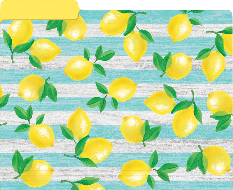 [Australia - AusPower] - Teacher Created Resources Lemon Zest File Folders, Model: TCR8542 