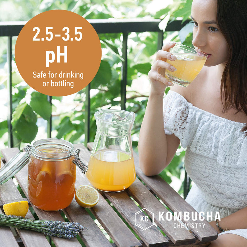 [Australia - AusPower] - pH Test Strips for Kombucha Brewing 0-6 (0.5 Intervals) 100pc Kit 