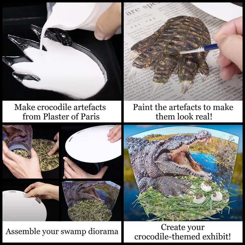 [Australia - AusPower] - WILD ENVIRONMENTAL SCIENCE Extreme Crocodiles of the World - For Ages 6+ - Create and Customize Models and Dioramas - Study the Most Extreme Animals 