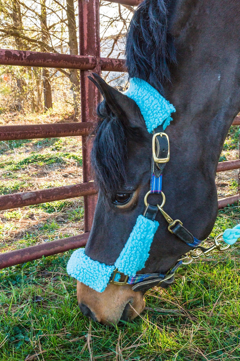 [Australia - AusPower] - Intrepid International Halter Fleece Set Navy 