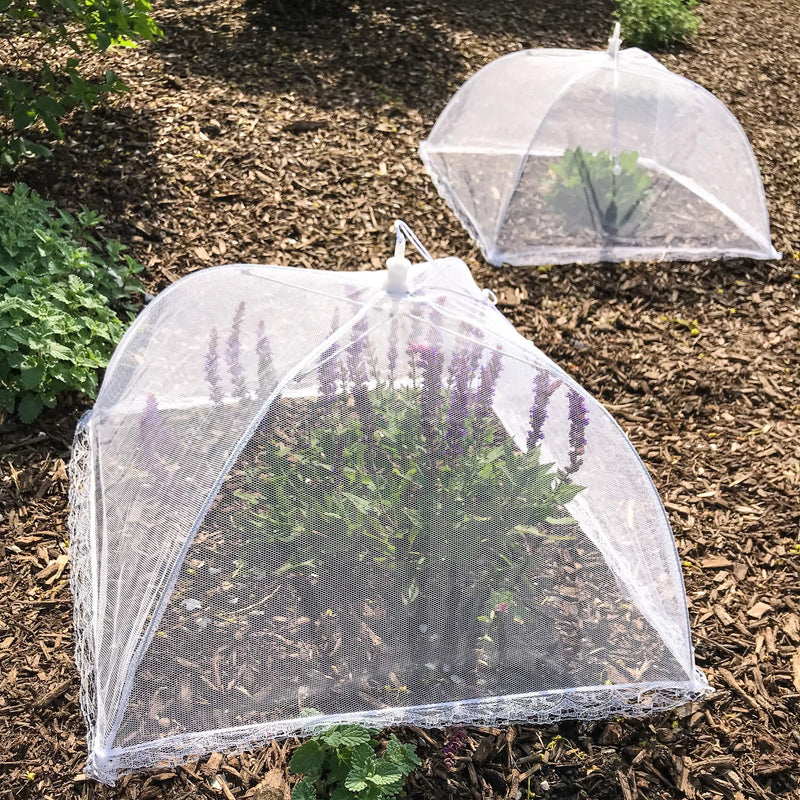 [Australia - AusPower] - Simply Genius (6 pack) Large and Tall 17x17 Pop-Up Mesh Food Covers Tent Umbrella for Outdoors, Screen Tents, Parties Picnics, BBQs, Reusable and Collapsible Food Tents 6 