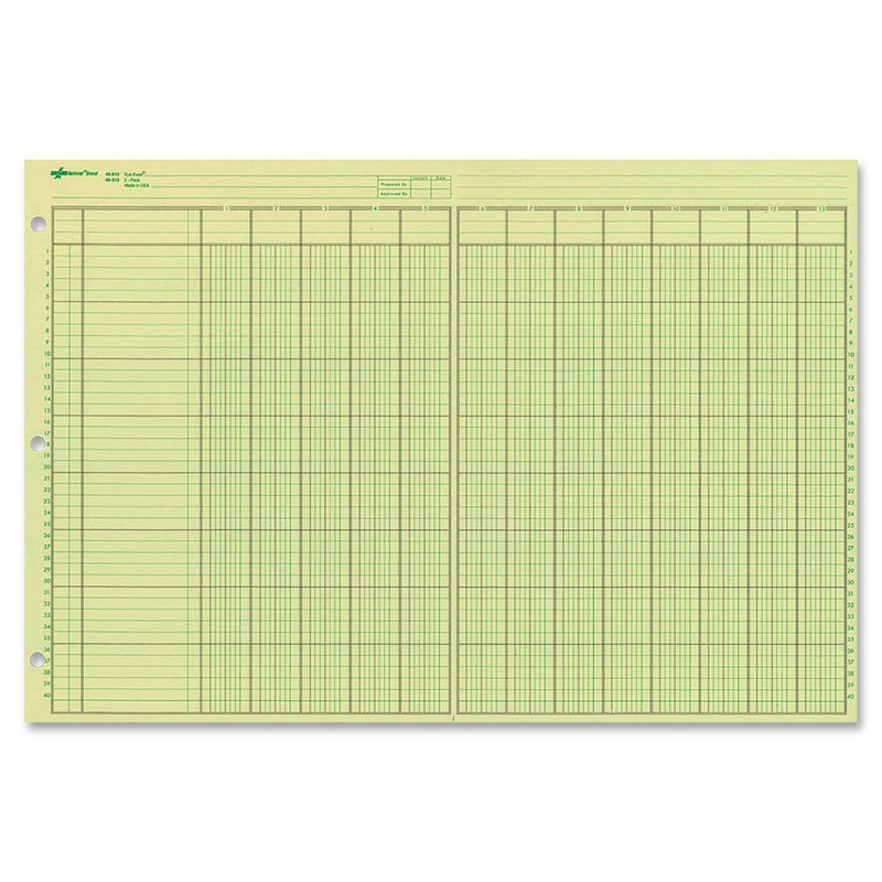 [Australia - AusPower] - NATIONAL Analysis Pad, 13 Columns, Green Paper, 11 x 16.375", 50 Sheets (45613) 