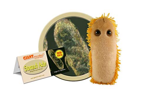 [Australia - AusPower] - GIANTmicrobes Stomach Ache Plush - Learn About Microbes and Health, Fun Educational Gift for Family, Friends, Doctors, Nurses, Educators and Anyone with a Healthy Sense of Humor 