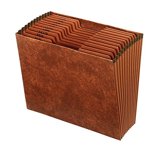 [Australia - AusPower] - [IN]PLACE Expanding File, Letter, Jan-Dec, 12 Pockets 