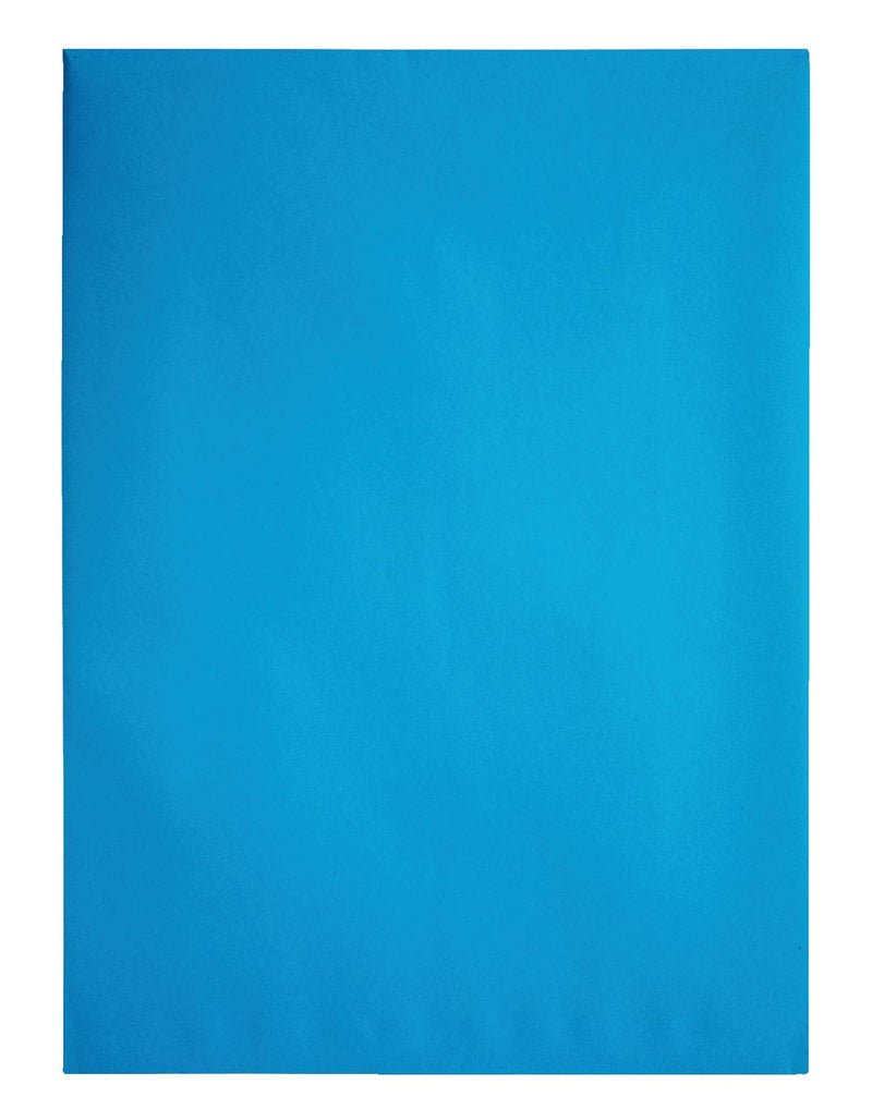 [Australia - AusPower] - Quality Park Clasp Envelopes, 9 x 12 inches, Blue, Pack of 10 (38737) 