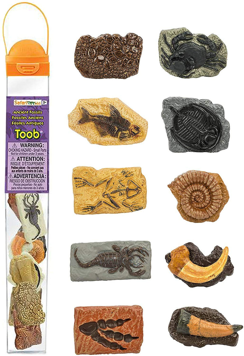 [Australia - AusPower] - Safari Ltd Ancient Fossils TOOB with 10 Toy Figurines Including Dino Footprint, Giant Crab, Ammonite, Raptor Claw, Fossilized Frog, Trilobite, T-Rex Tooth, Fossilized Fish, Dino Skin, and Sea Scorpion 