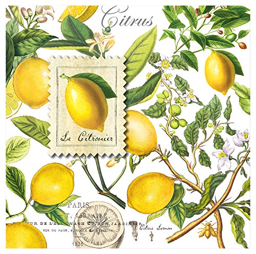 [Australia - AusPower] - Michel Design Works Cocktail Napkins, Lemon Basil 