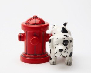 [Australia - AusPower] - Pacific Giftware Dalmation Dog with Fire Hydrant Ceramic Magnetic Salt & Pepper Shaker Set Novelty Gift 