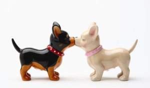 [Australia - AusPower] - Pacific Trading Kissing Chihuahuas Pucker Up Pups, Salt and Pepper Shaker Set, Magnetic 