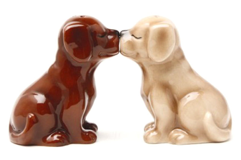[Australia - AusPower] - Pacific Giftware Labrador Puppies Magnetic Salt and Pepper Shakers Set, Blond/Chocolate 