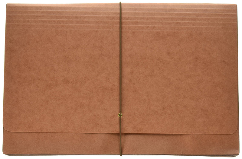 [Australia - AusPower] - Globe-Weis Extra Wide Tyvek Expansion Wallet (GLW73189) 