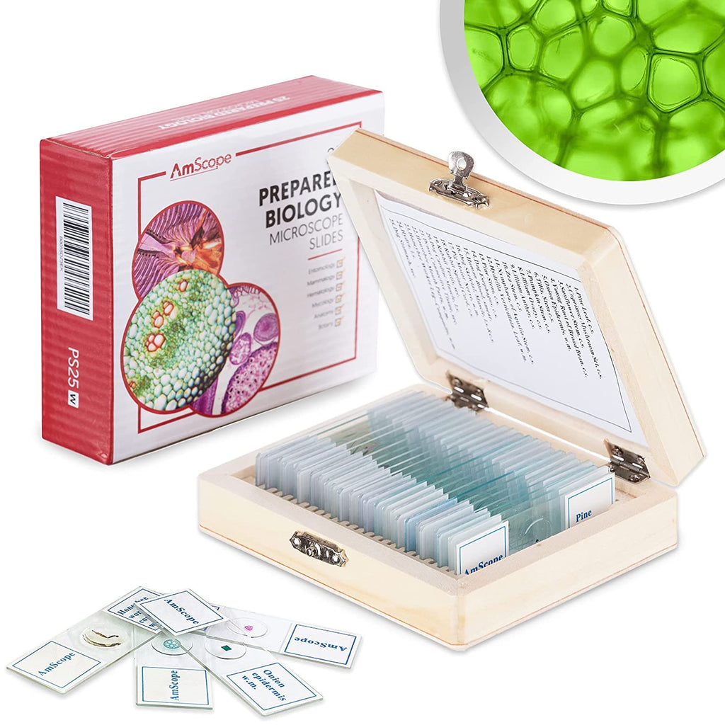 [Australia - AusPower] - AmScope PS25W Prepared Microscope Slide Set for Basic Biological Science Education, 25 Slides, Includes Fitted Wooden Case 