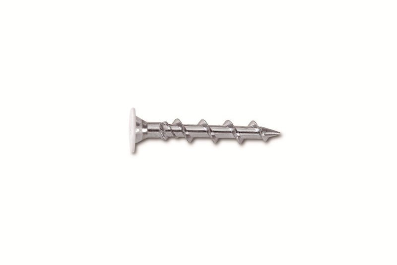 [Australia - AusPower] - Powers Fastening Innovations 02278 Wall-Dog - 1/4-Inch by 2-Inch White Wafer Head Light Duty Anchor, 100 Per Box 