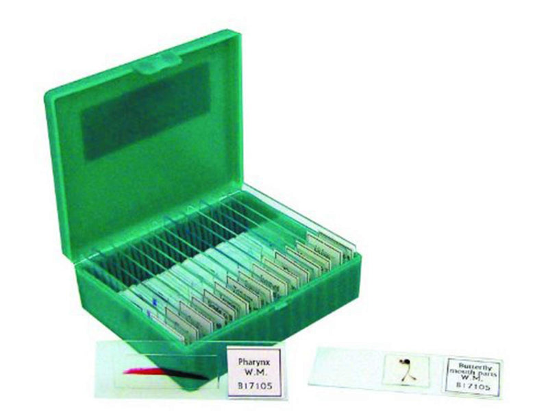[Australia - AusPower] - Walter Products B17105 Prepared Slide Set-Small Organisms (Pack of 15) 