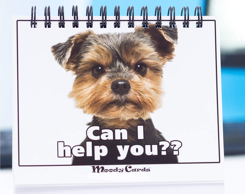 [Australia - AusPower] - Office Gift for Dog Lovers - Moodycards! Make Everyone Laugh with These Adorable and Hilarious Dog Memes - Let The Dogs Tell Everyone How You Feel! A Terrific Office Gift! 25 Different Moods 