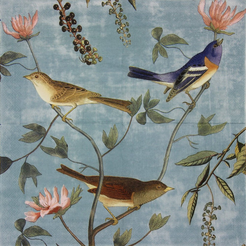 [Australia - AusPower] - Paper Napkins, Alink Luncheon Party Napkins Serviettes Printed Birds 20 Count 2-Ply, 13 x 13 Inch Blue 