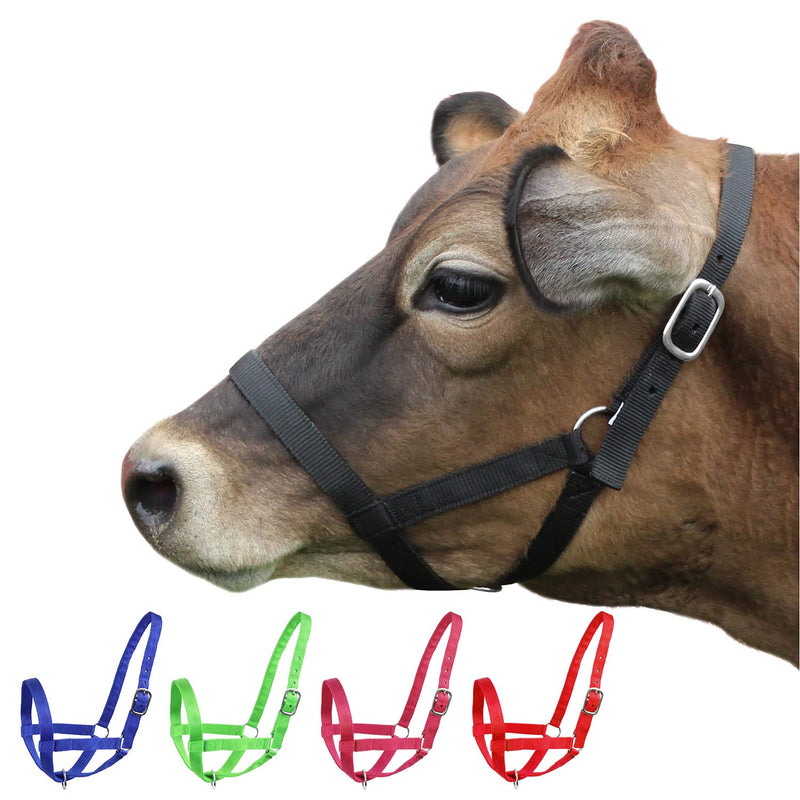 [Australia - AusPower] - Derby Originals Adjustable Nylon Livestock Cattle Halters Available Small (250-500lbs) Black 
