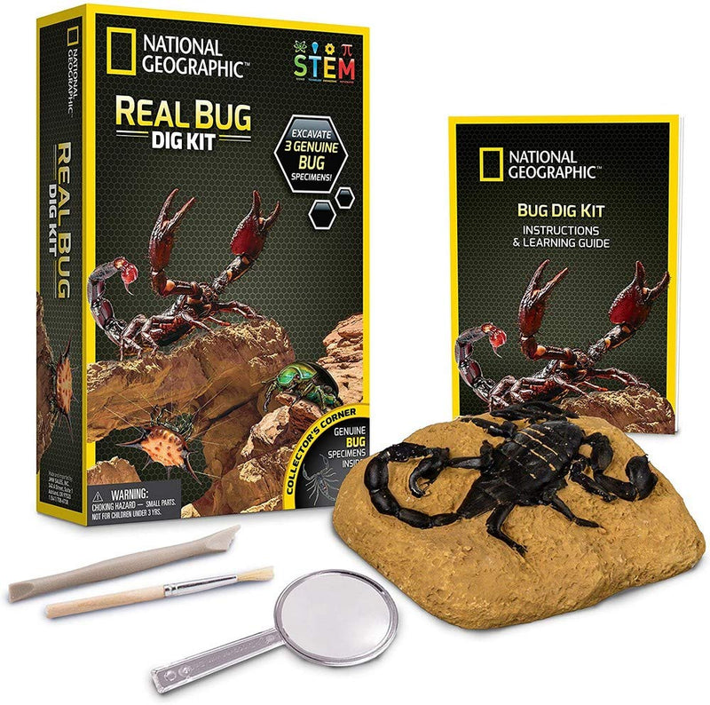 [Australia - AusPower] - NATIONAL GEOGRAPHIC Real Bug Dig Kit - Dig up 3 Real Insects including Spider, Fortune Beetle and Scorpion - Great STEM Science gift Dig Bug 