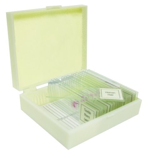 [Australia - AusPower] - Vision Scientific VSE117 Prepared Slide Set – Water Life (Set of 12) 