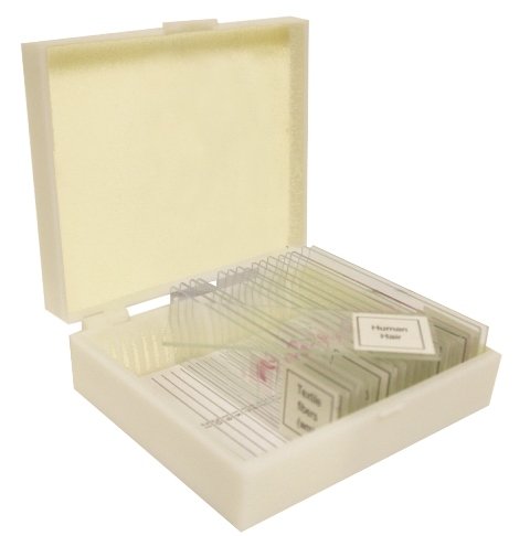 [Australia - AusPower] - Vision Scientific VSH118 Prepared Slide Set – Meiosis (Set of 7) 