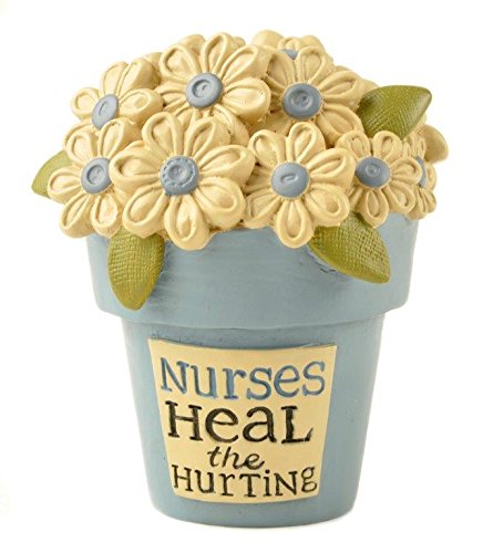 [Australia - AusPower] - Blossom Bucket Nurses Heal' Flower Pot W/Flowers 