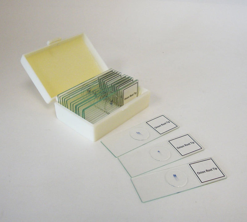 [Australia - AusPower] - Prepared Slide, Plant Mitosis, Classpack of 15 Sides 