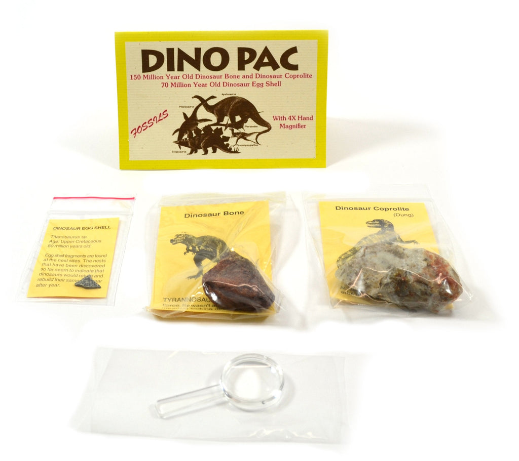 [Australia - AusPower] - Rare Fossil Dino Pac - Real Dinosaur Egg, Bone, and Dung Fossils with Info Cards, Geologic Timescale, and 4X Magnifier 