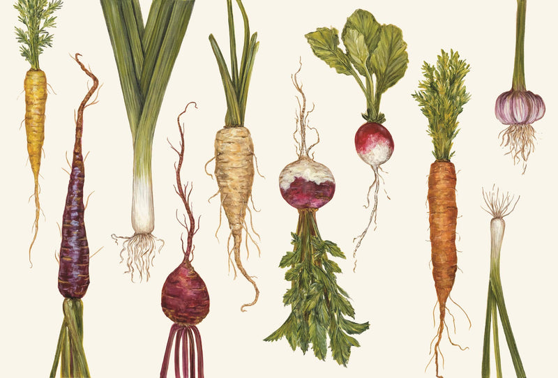 [Australia - AusPower] - Hester & Cook Paper Placemat, Pad of 24 - Natural Farmer's Market Multicolor 