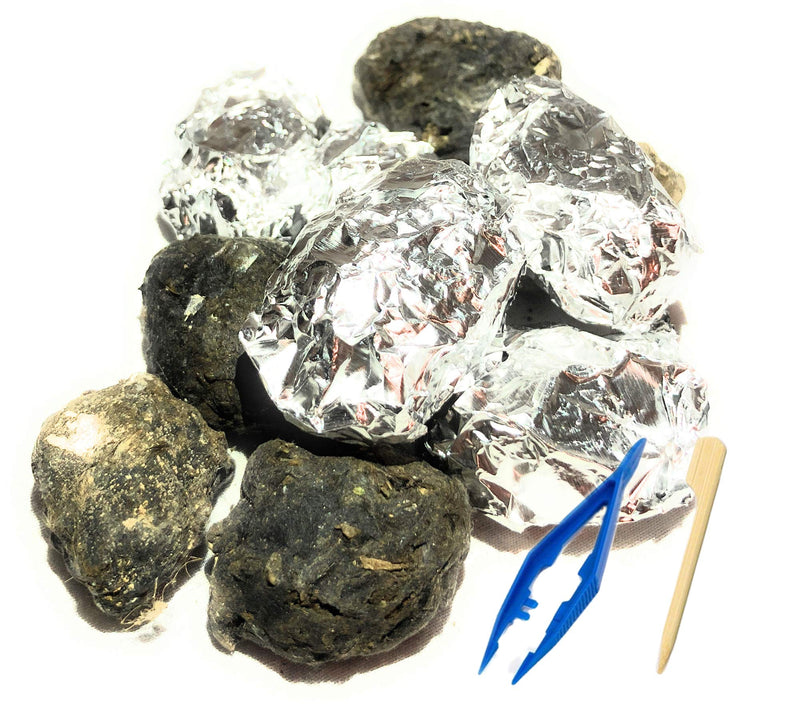 [Australia - AusPower] - Premium Barn Owl Pellets, Small: 1.25"-1.5" (Pack of 20) - Free Bone Identification Chart, Forceps, Paddle Picks, and Teaching Guide Included! 