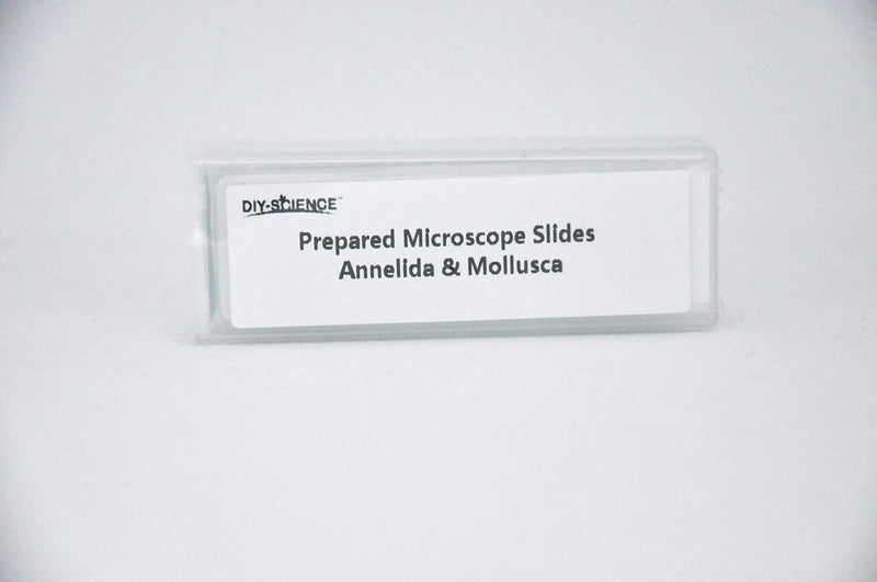 [Australia - AusPower] - DIY-SCIENCE Prepared Annelida & Mollusca Microscope Slides for Biology Science Education, Pack of 5 Pieces Kinds 