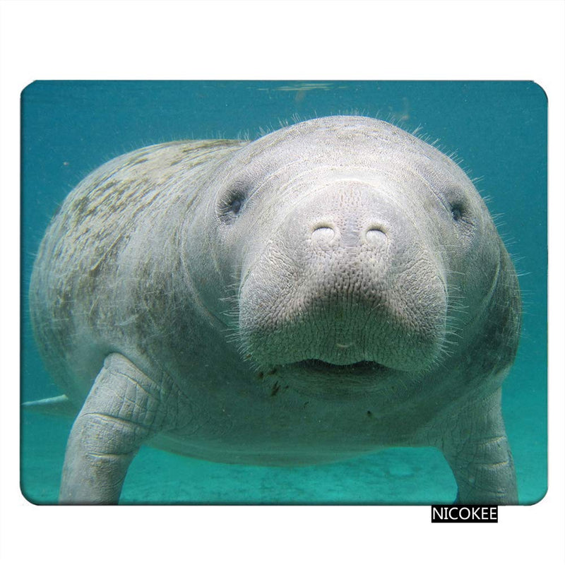 [Australia - AusPower] - NICOKEE Manatee Rectangle Gaming Mousepad Cute Manatee in The Water Mouse Pad Mouse Mat for Computer Desk Laptop Office 9.5 X 7.9 Inch Non-Slip Rubber M01-033 