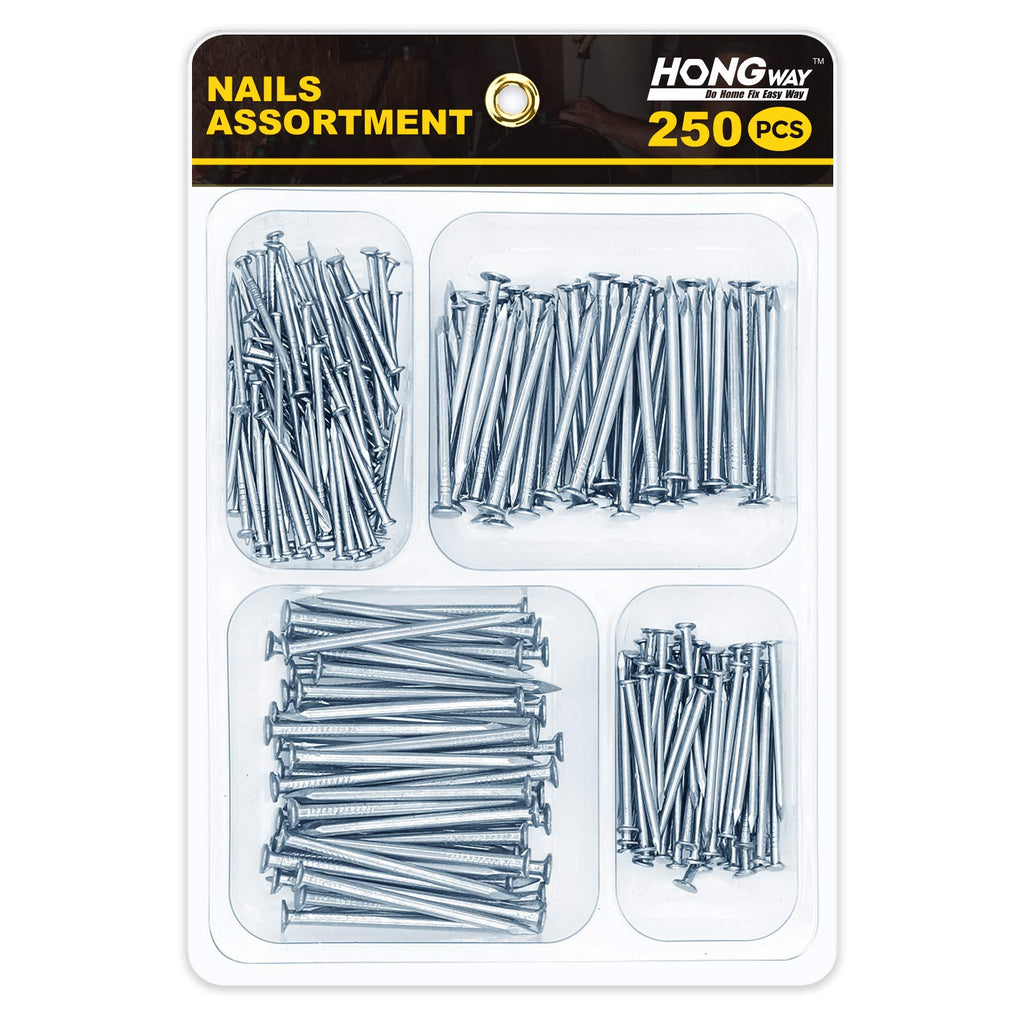 [Australia - AusPower] - HongWay 250pcs Hardware Nails Assortment Kit, Small Nails for Picture Hanging, 4 Size Nails for Wall, Finishing Nails, Wood Nails, Picture Hanging Nails, Hanging Nails, Picture Nails, Wall Nails 