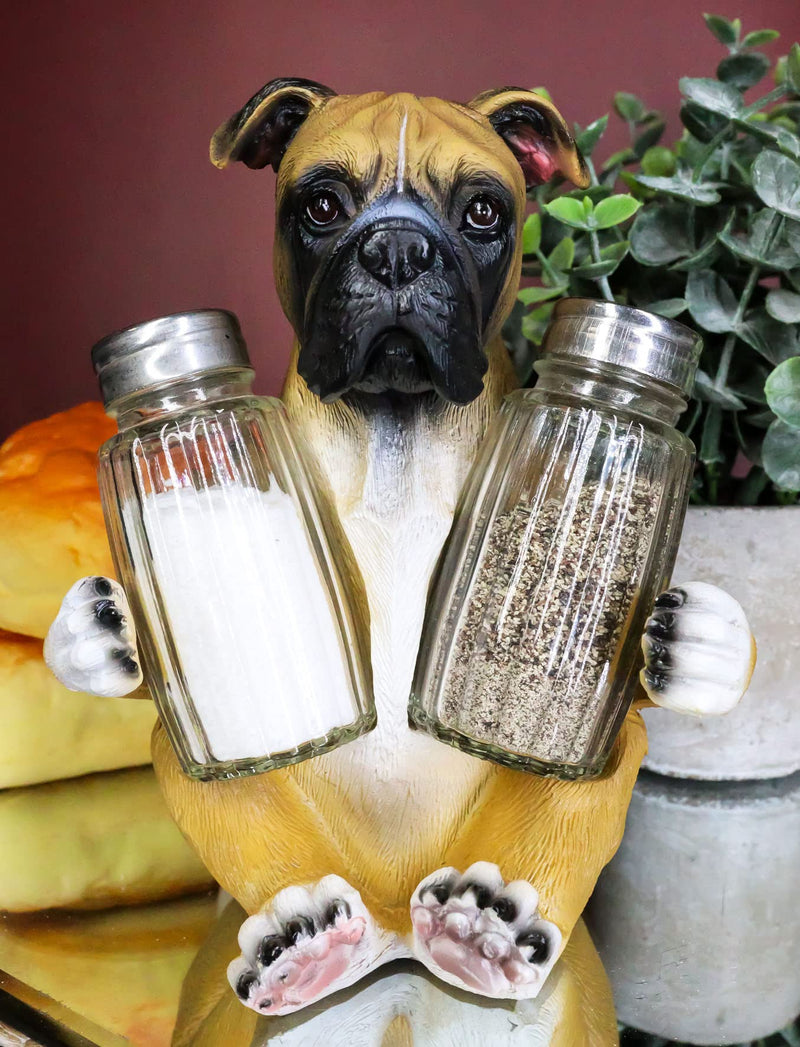 [Australia - AusPower] - Ebros Gift Realistic Fawn Boxer Puppy Dog Hugging Glass Salt Pepper Shakers Holder Decorative Statue 6.25"High Resin Dogs Boxers Memorial Pets Pet Pal Animal Home Kitchen Spice Organizer Figurine 