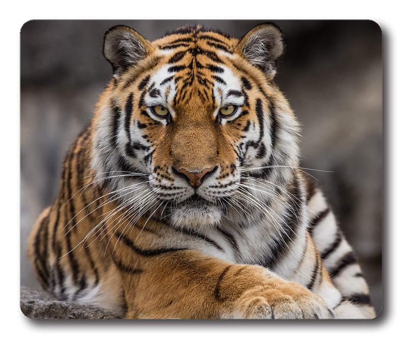 [Australia - AusPower] - Ice Rabbit Mouse Pad Siberian Tiger Gaming Personality Rectangle Mouse Pads Non-Slip Rubber Mousepad Ir-08 