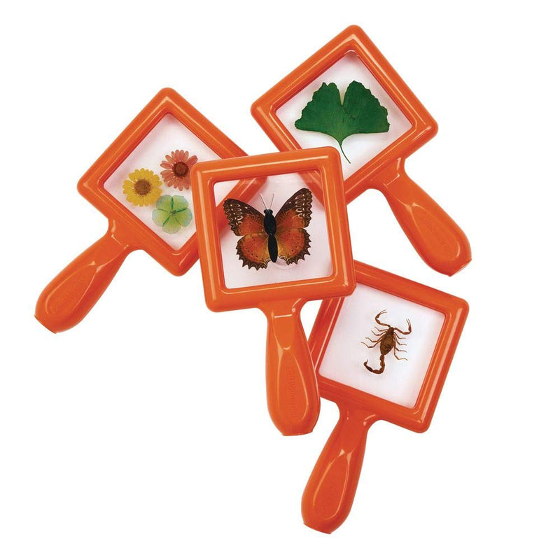 [Australia - AusPower] - Environments Toddler Specimen Viewers Set of 4 (Item # SPECISEE) 