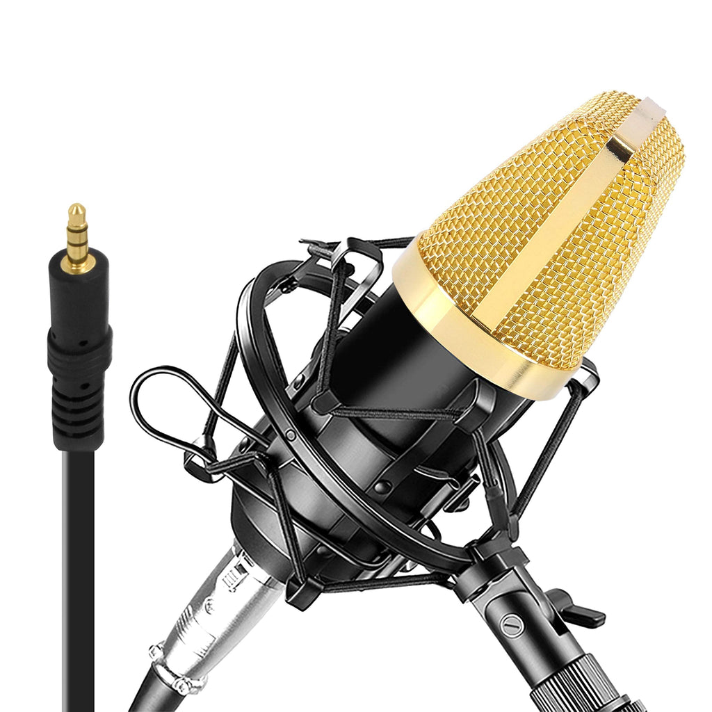 [Australia - AusPower] - Condenser Microphone Bundle, 3.5 mm Recording Microphone, Shock Mount Plug and Play,Computer Microphone, Podcast, Recording, Studio Vocal, YouTube - Pyle PDMIC71 