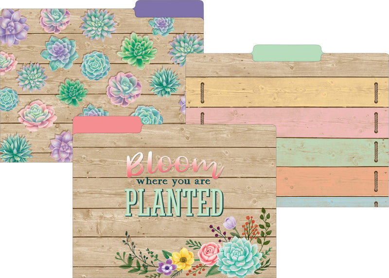 [Australia - AusPower] - Teacher Created Resources Rustic Bloom File Folders (TCR8539) 