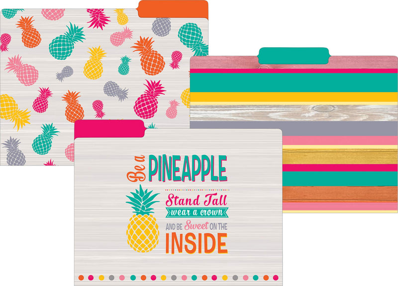 [Australia - AusPower] - Teacher Created Resources Tropical Punch File Folders (TCR8538) 