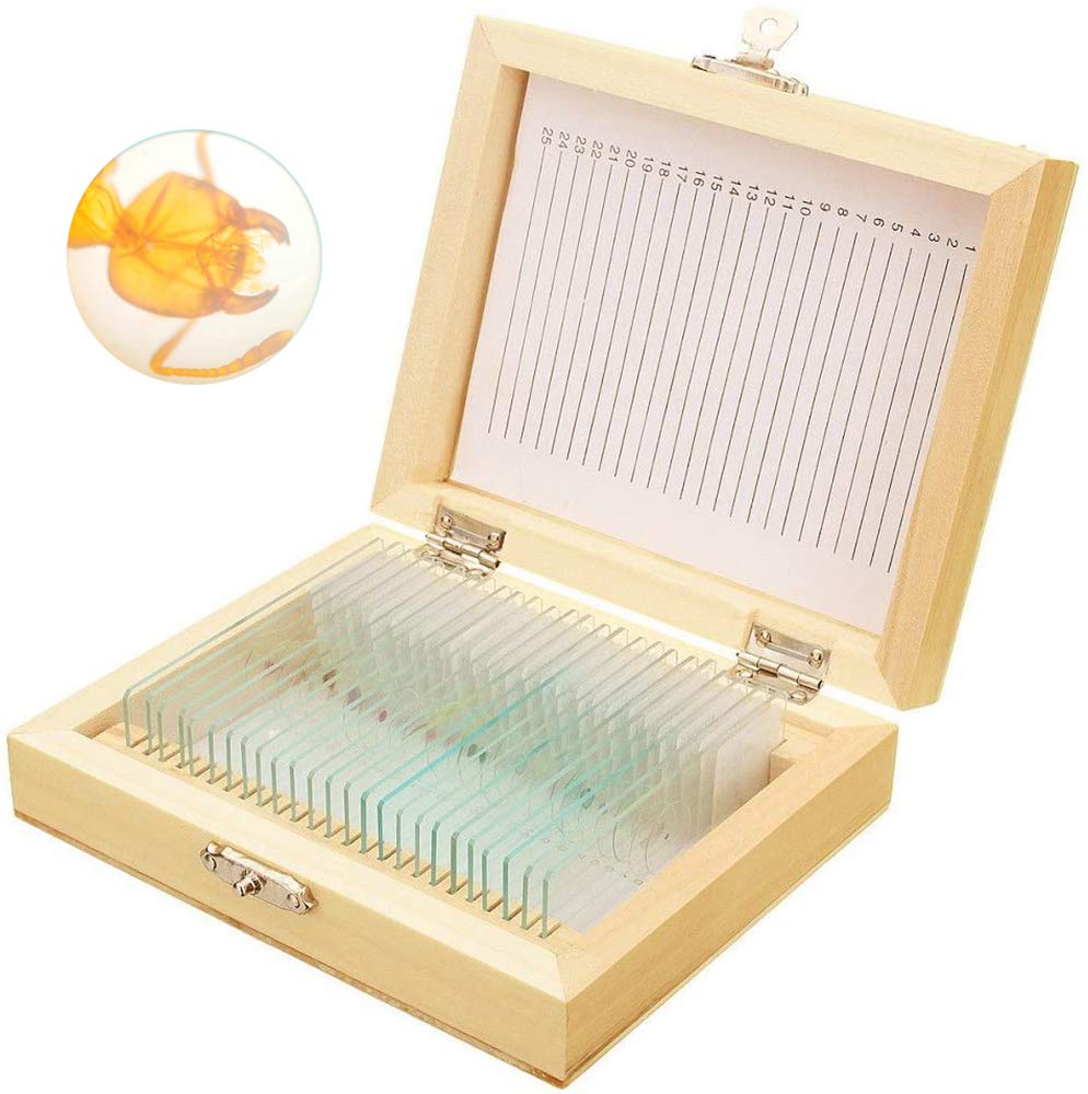 [Australia - AusPower] - Bysameyee Prepared Microscope Slides with Specimens for Kids, 25 PCS Microscope Sample Slides Science Kit Set with Fitted Wooden Case for Basic Biological Education 