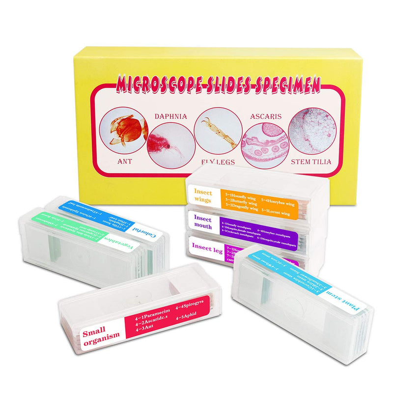 [Australia - AusPower] - Bysameyee 35PCS Prepared Microscope Slides with 7 Types Specimens, Insect/Plant Glass Sample Slide for Kids Adults Family Preschool Education Scientific Enlightenment 