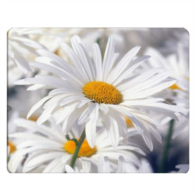 [Australia - AusPower] - Nicokee Daisy Gaming Mousepad White Pure Daisy Flower Mouse Pad Mouse Mat for Computer Desk Laptop Office 9.5 X 7.9 Inch Non-Slip Rubber M02-016 