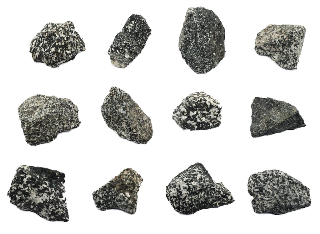 [Australia - AusPower] - 12PK Raw Diorite, Igneous Rock Specimens - Approx. 1" - Geologist Selected & Hand Processed - Great for Science Classrooms - Class Pack - Eisco Labs 12 