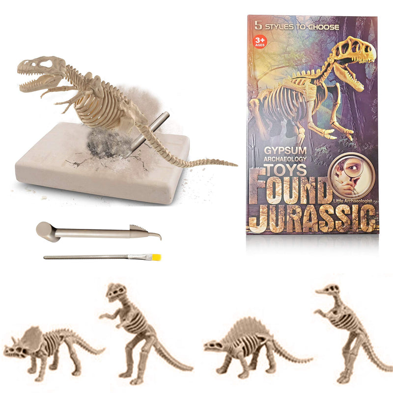 [Australia - AusPower] - Buddy N Buddies Dinosaur Fossil Excavation Kits ,Children's Popular Science Education Toys(Pliosaur) Pliosaur 