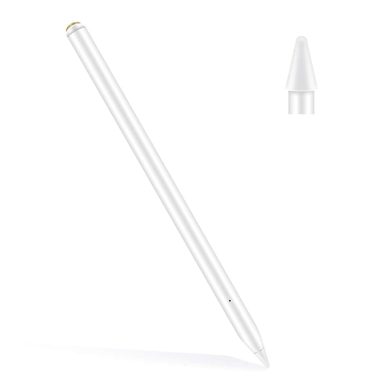 [Australia - AusPower] - Stylus Pen for iPad with Magnetic Charging Cable, Rulykar Active Pencil with No Lag, High Precision, Tilt, Palm Rejection, for iPad 6th, iPad Mini 5th, iPad Air 3rd/4th Gen, iPad Pro (11/12.9") 00X 