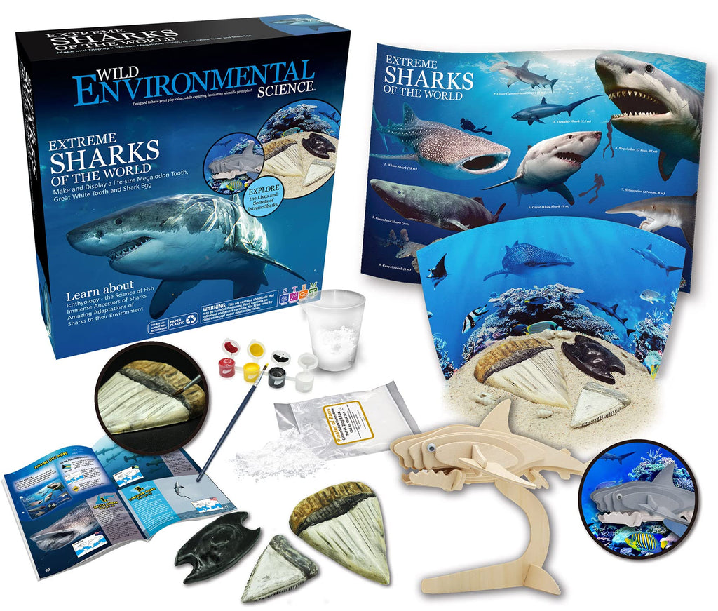 [Australia - AusPower] - WILD ENVIRONMENTAL SCIENCE Extreme Sharks of the World - Science Craft Kit - Make Models, Dioramas and Study the Most Extreme Animals - For Ages 6+ 