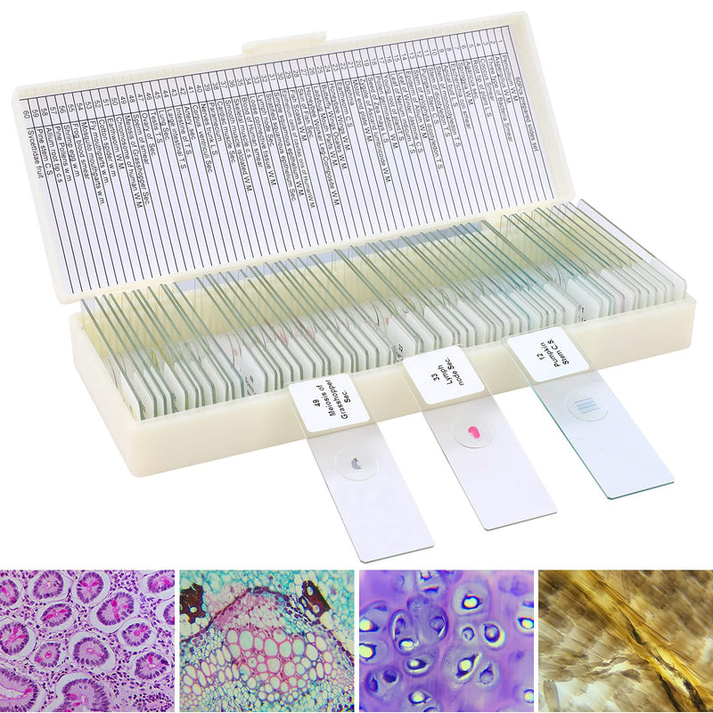 [Australia - AusPower] - 60 Microscope Slides with Specimens for Kids, Prepared Microscope Slides for Kids Microbiology, Prepared Microscope Slides for Adults 60 pcs 