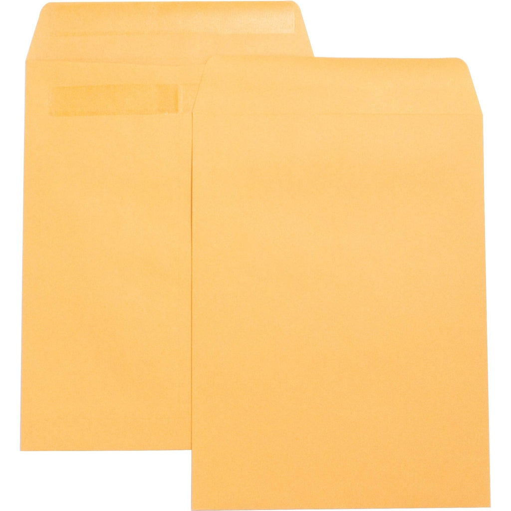 [Australia - AusPower] - Press/Seal Brown Catalog Envelopes, 9" W x 12" L, 28lb. - 10 Pack 