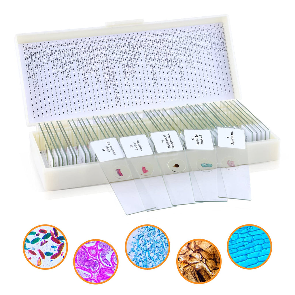[Australia - AusPower] - 50pcs Prepared Microscope Slides for Kids,Preloaded Microscope Slides with Specimens for Kids Adults,Microscope Slide Set Including Insects Human Body,Use for Physiology,Enlighten Education YSJP-XU1-203 